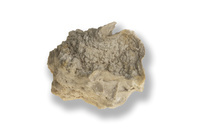 M 00050
<br/>
<br/>
<em></em>